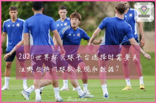 2026世界杯买球平台选择时需要关注哪些热门球队表现和数据？