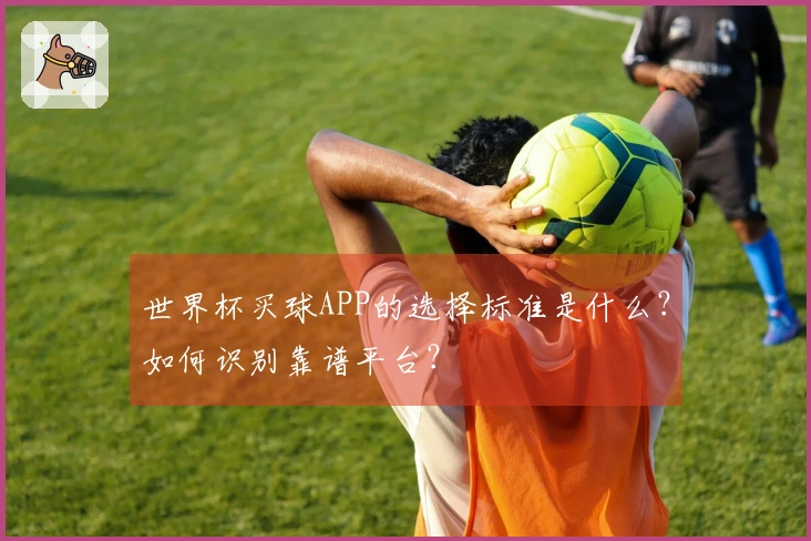 世界杯买球APP的选择标准是什么?如何识别靠谱平台?
