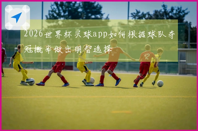 2026世界杯买球app如何根据球队夺冠概率做出明智选择