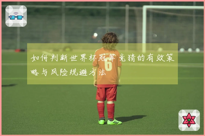 如何判断世界杯冠军竞猜的有效策略与风险规避方法