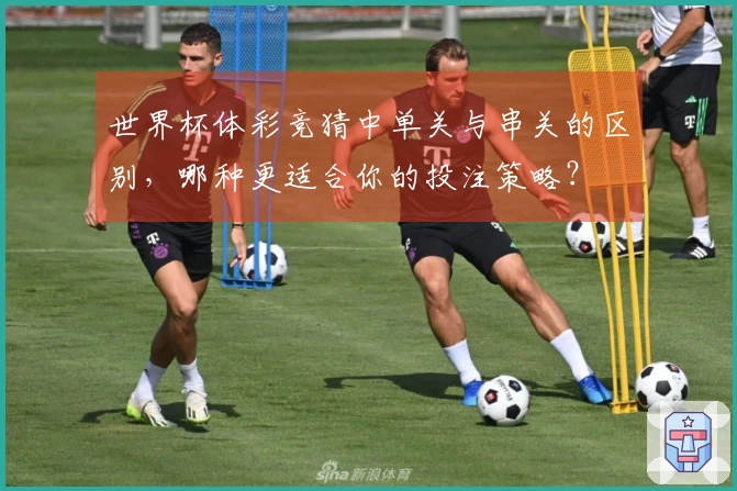 世界杯体彩竞猜中单关与串关的区别,哪种更适合你的投注策略?