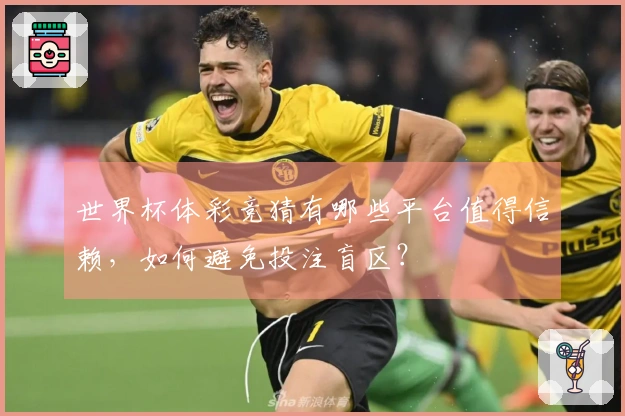 世界杯体彩竞猜有哪些平台值得信赖，如何避免投注盲区？