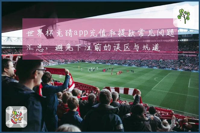 世界杯竞猜app充值和提款常见问题汇总,避免下注前的误区与坑道