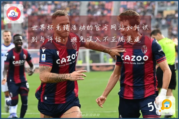 世界杯竞猜活动的官方网站如何识别与评估，避免误入不正规渠道
