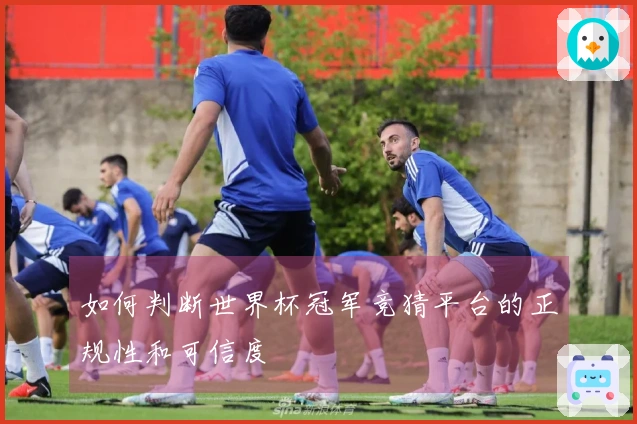 如何判断世界杯冠军竞猜平台的正规性和可信度
