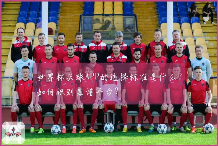 世界杯买球APP的选择标准是什么？如何识别靠谱平台？