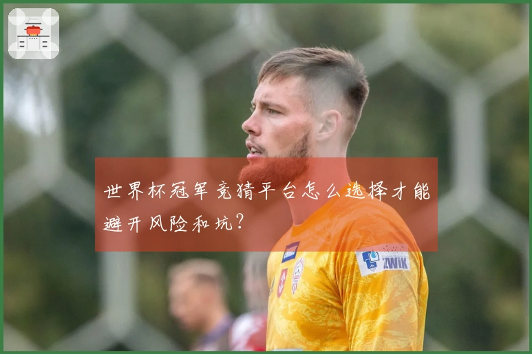 世界杯冠军竞猜平台怎么选择才能避开风险和坑?