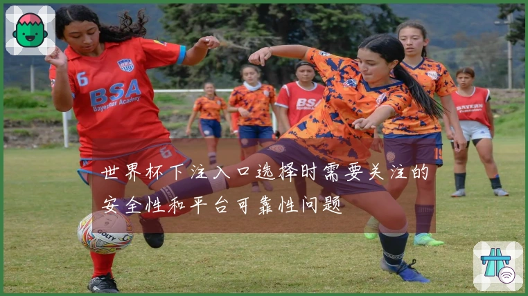 世界杯下注入口选择时需要关注的安全性和平台可靠性问题