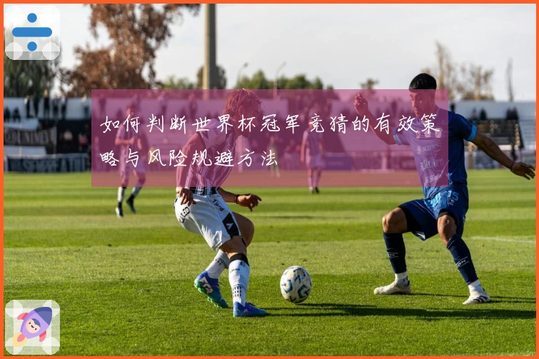 如何判断世界杯冠军竞猜的有效策略与风险规避方法