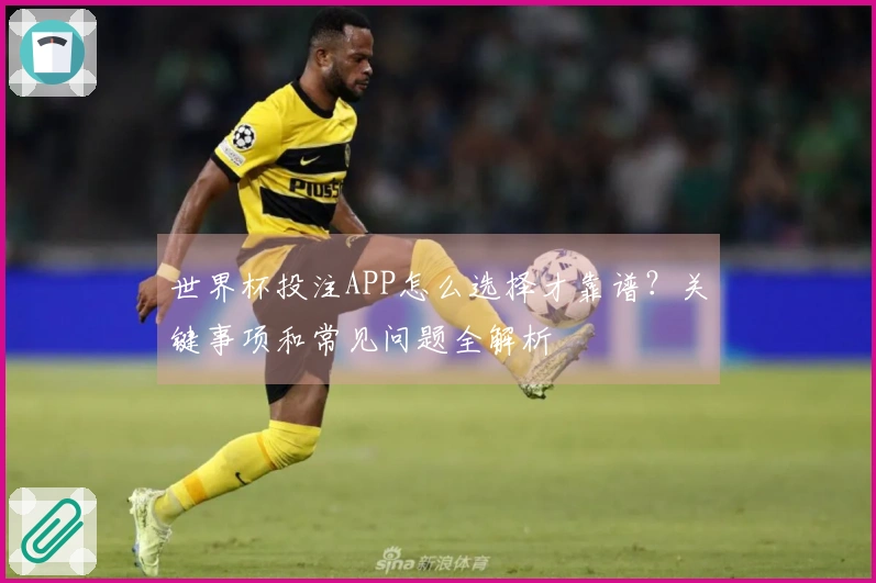 世界杯投注APP怎么选择才靠谱？关键事项和常见问题全解析