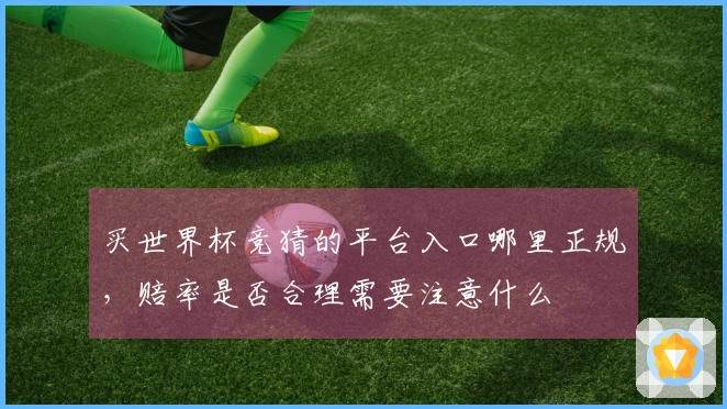 买世界杯竞猜的平台入口哪里正规，赔率是否合理需要注意什么