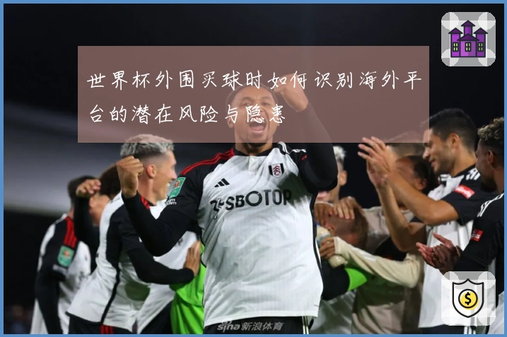 世界杯外围买球时如何识别海外平台的潜在风险与隐患