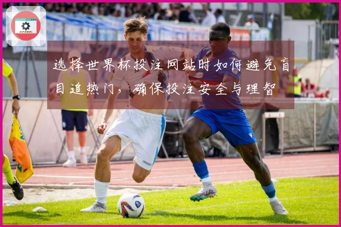 选择世界杯投注网站时如何避免盲目追热门,确保投注安全与理智