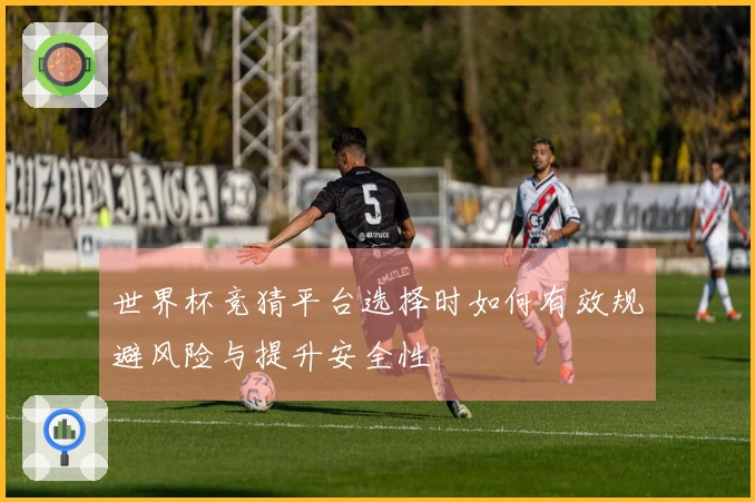 世界杯竞猜平台选择时如何有效规避风险与提升安全性