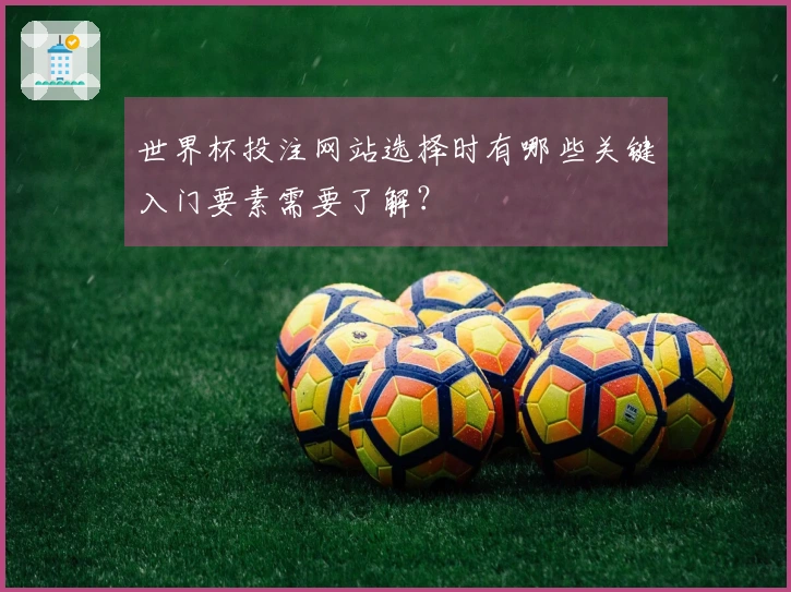 世界杯投注网站选择时有哪些关键入门要素需要了解？