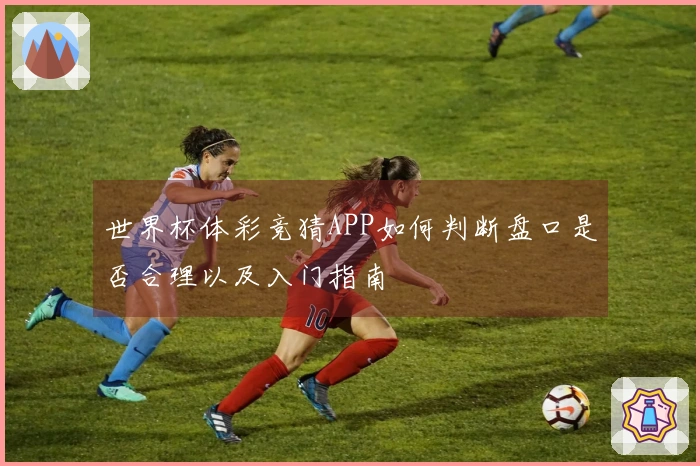 世界杯体彩竞猜APP如何判断盘口是否合理以及入门指南