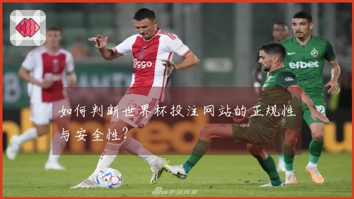 如何判断世界杯投注网站的正规性与安全性？