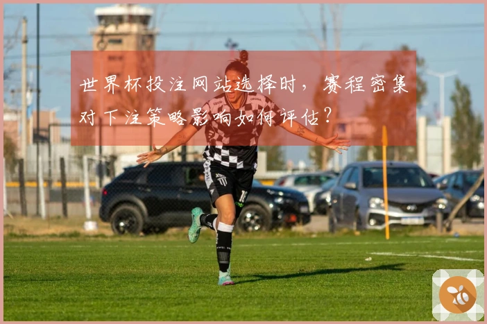 世界杯投注网站选择时，赛程密集对下注策略影响如何评估？