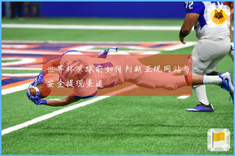 世界杯买球前如何判断正规网站与安全提现渠道